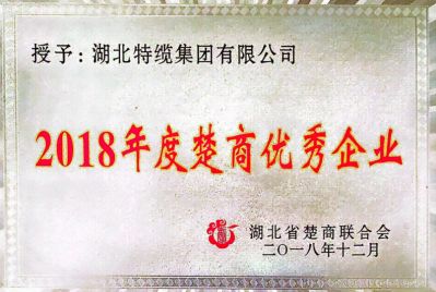 2018年度楚商優(yōu)秀企業(yè)