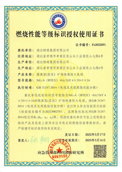 阻燃標志證書BTLY